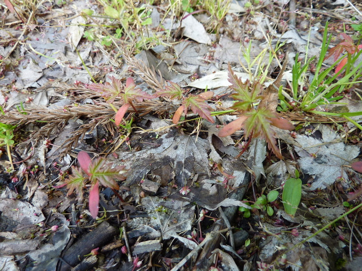 P1000771