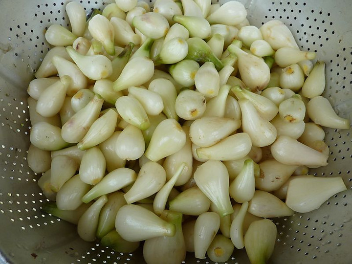 P1010279
