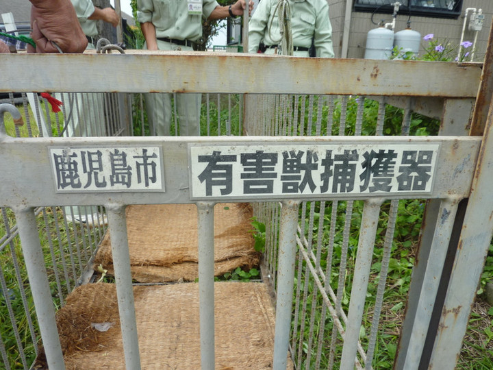 P1010450
