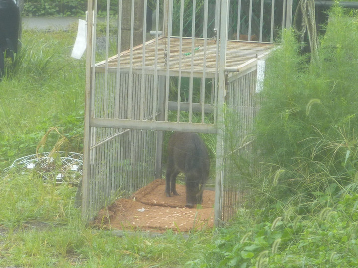 P1010452