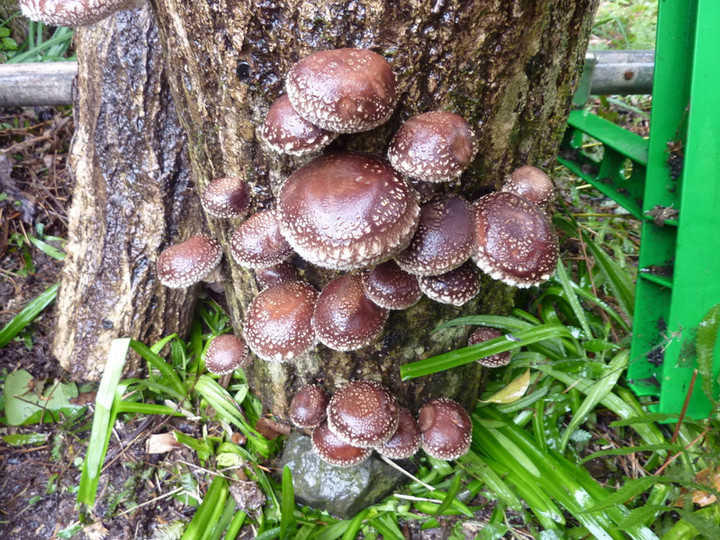 P1010772