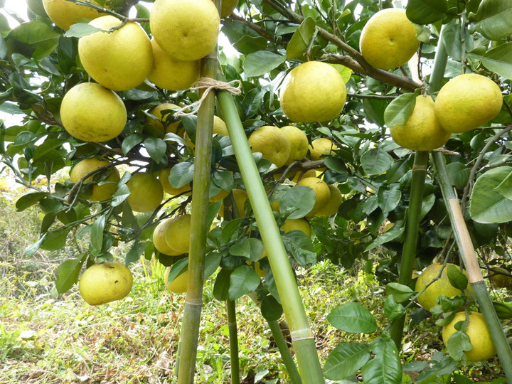 P1010860