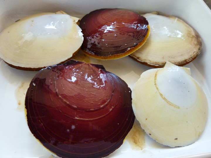 P1010934
