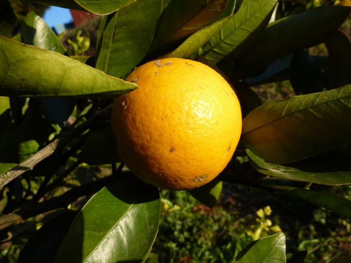 P1020077