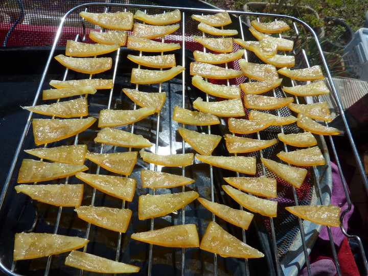 P1020183