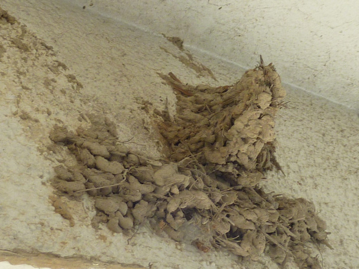 P1020804