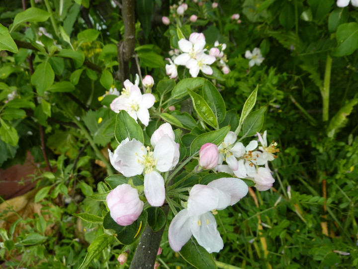 P1020832