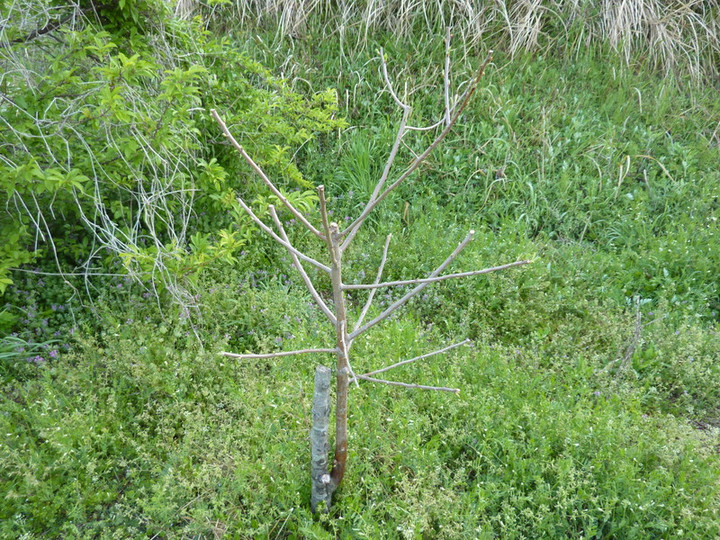 P1020857