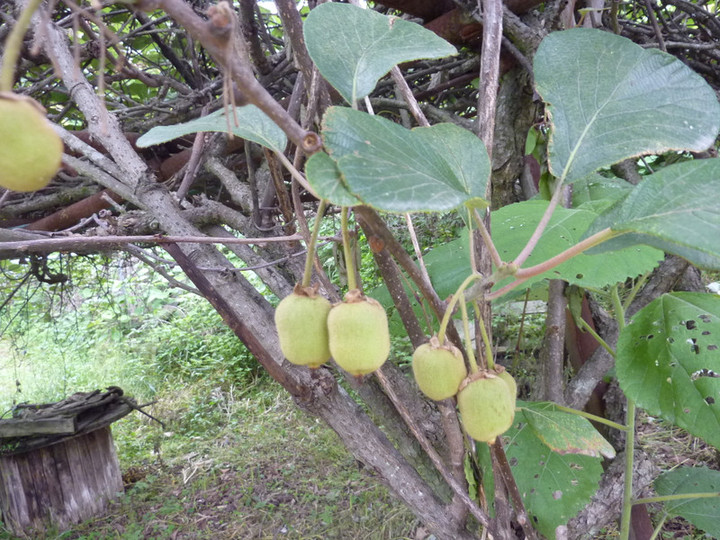P1070192