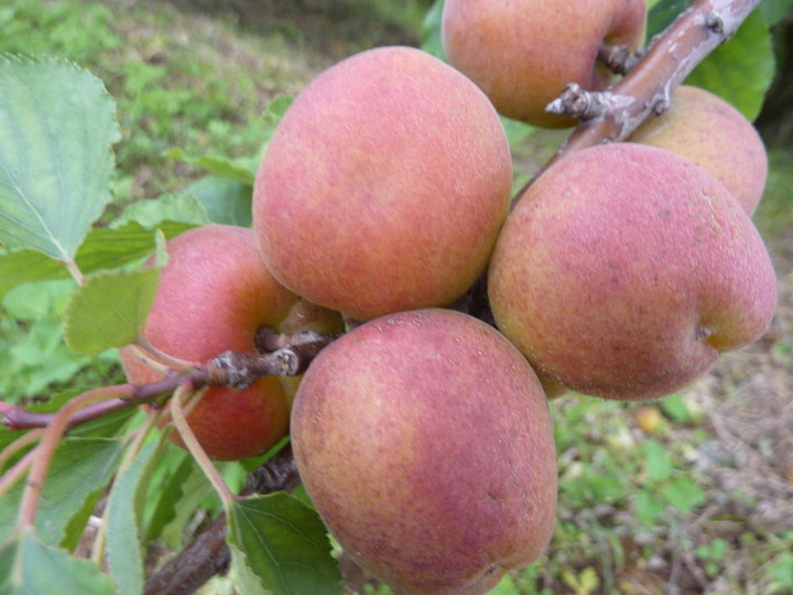 P1070174