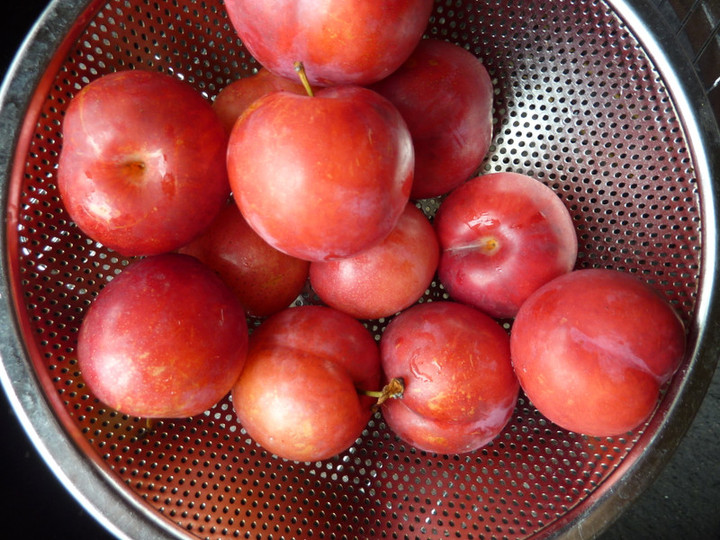 P1070330