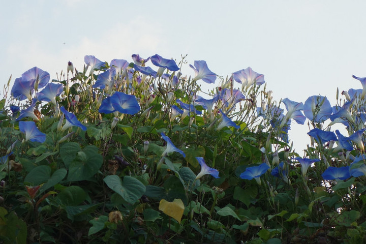 Dsc00056