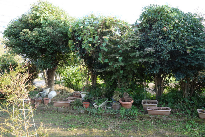 Dsc00058