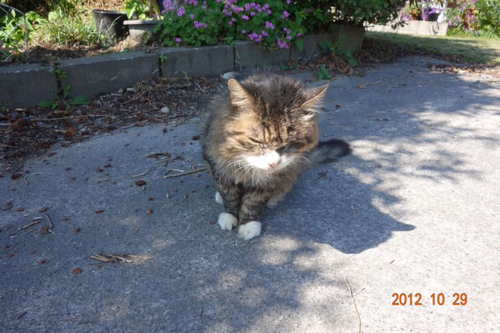 Dsc00260_2