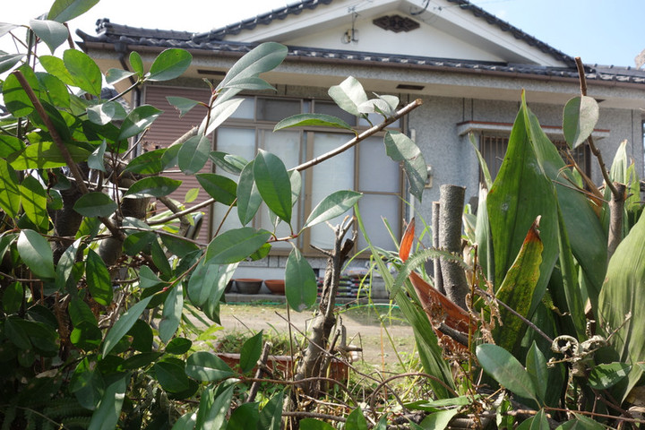 Dsc00416