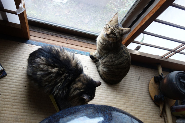 Dsc00735 Dsc00735