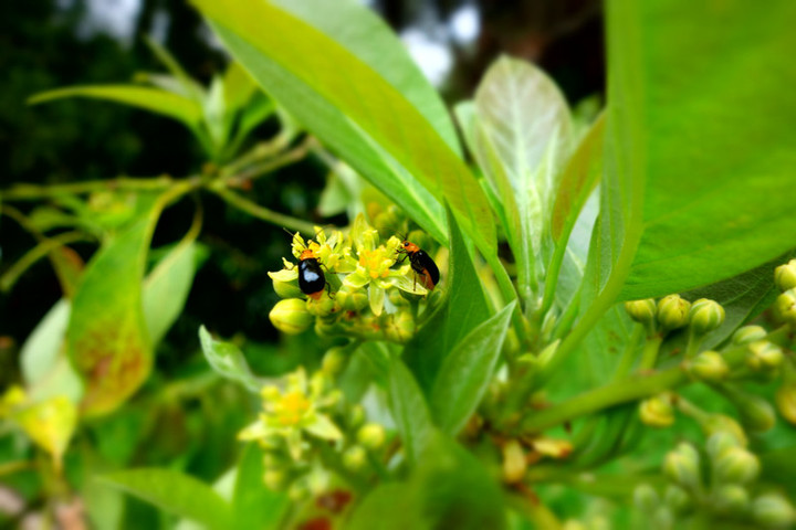Dsc03990 Dsc03990