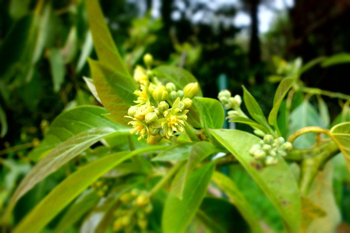 Dsc03995 Dsc03995