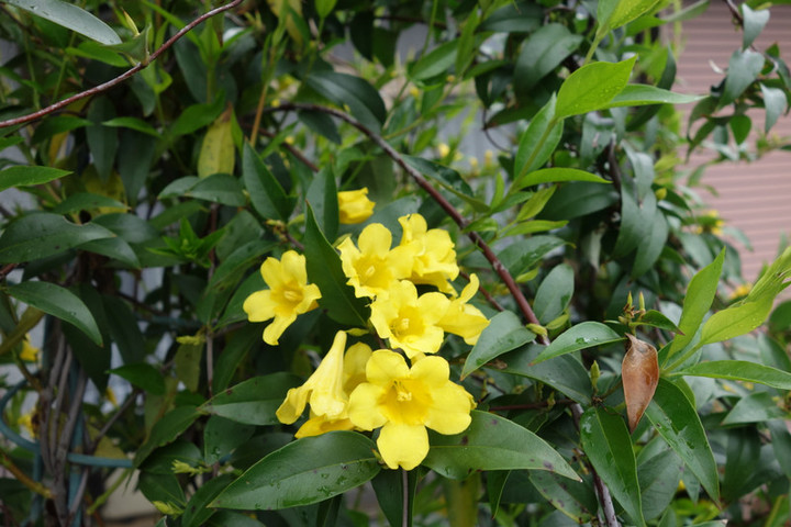 Dsc04056