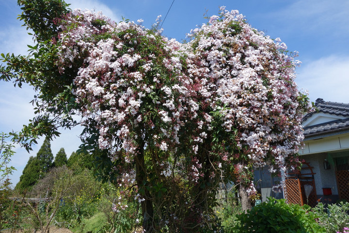 Dsc04063