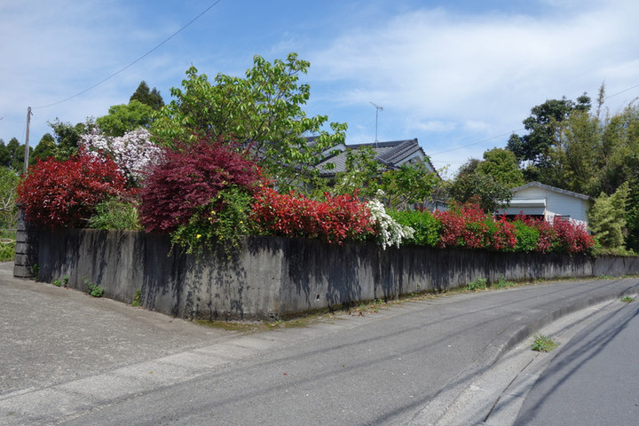 Dsc04065