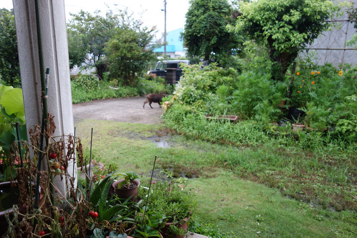 Dsc04389