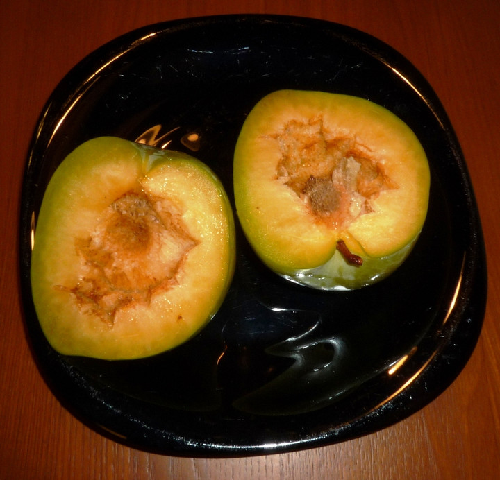 2010_09050032