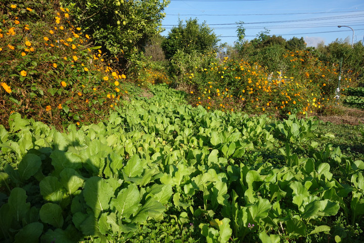 Dsc05263