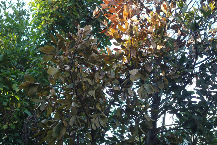 Dsc05321