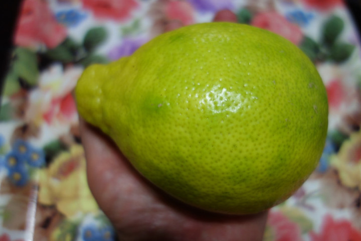 Dsc05350