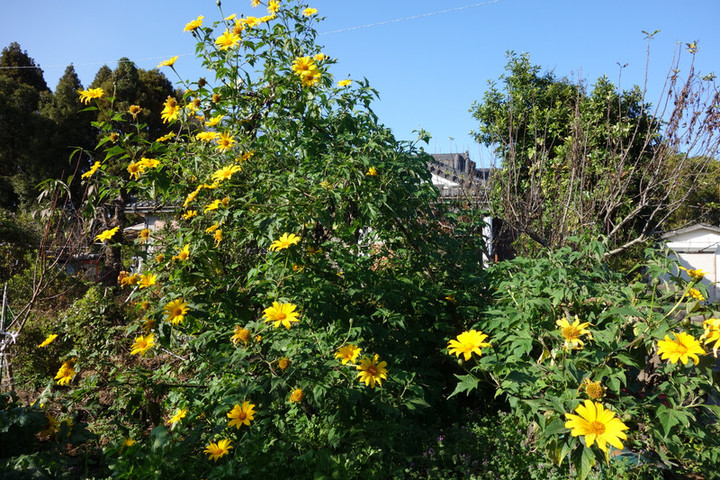 Dsc05427
