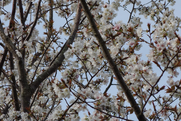Dsc05628 Dsc05628
