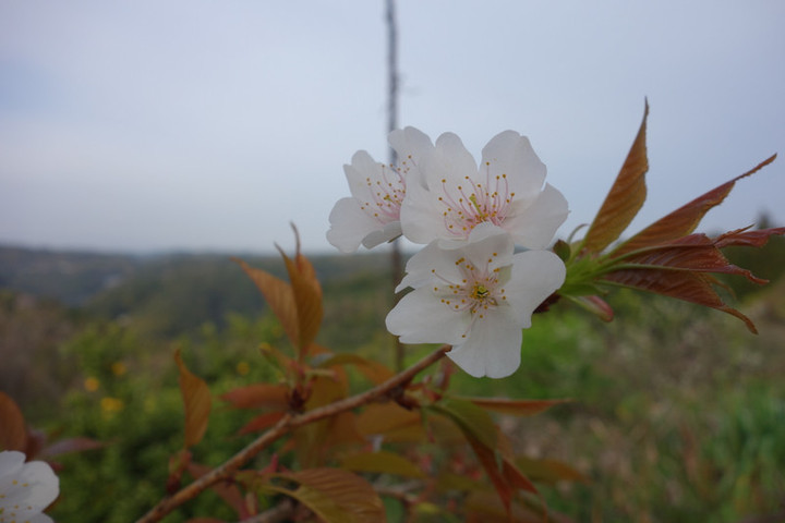 Dsc05630 Dsc05630