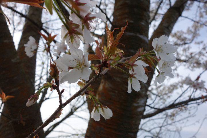 Dsc05631 Dsc05631