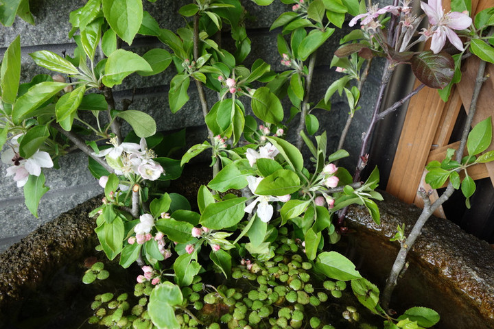 Dsc05700