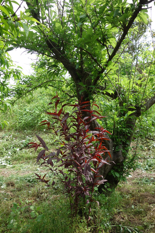 Dsc05793