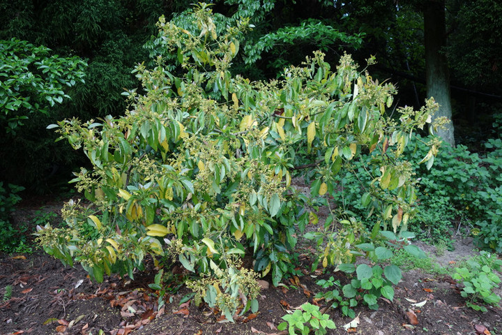 Dsc05755