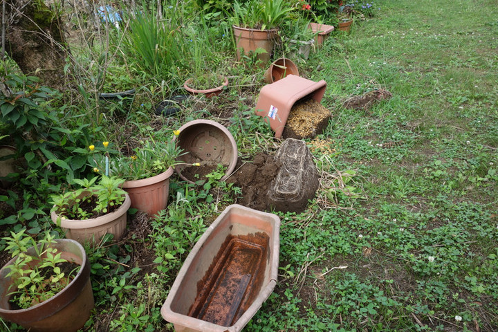 Dsc05956