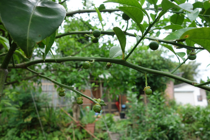 Dsc05940