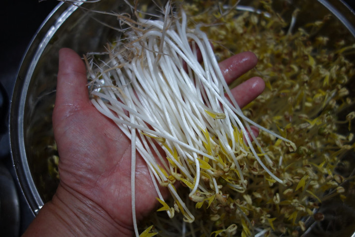 Dsc05955 Dsc05955