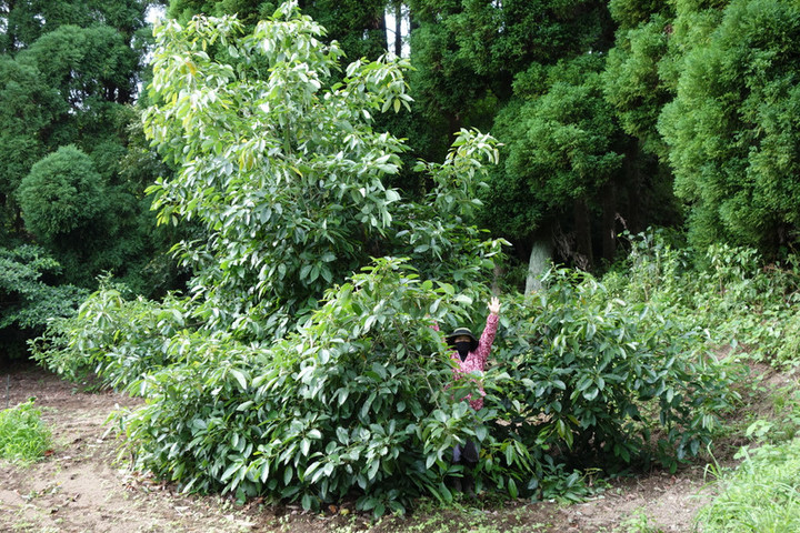 Dsc05984
