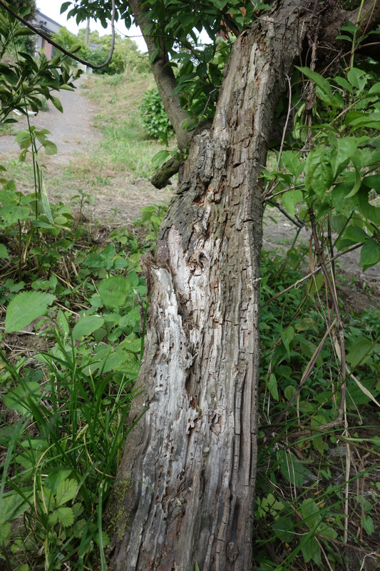 Dsc05866